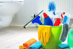 Messie Reinigung Bietigheim-bissingen